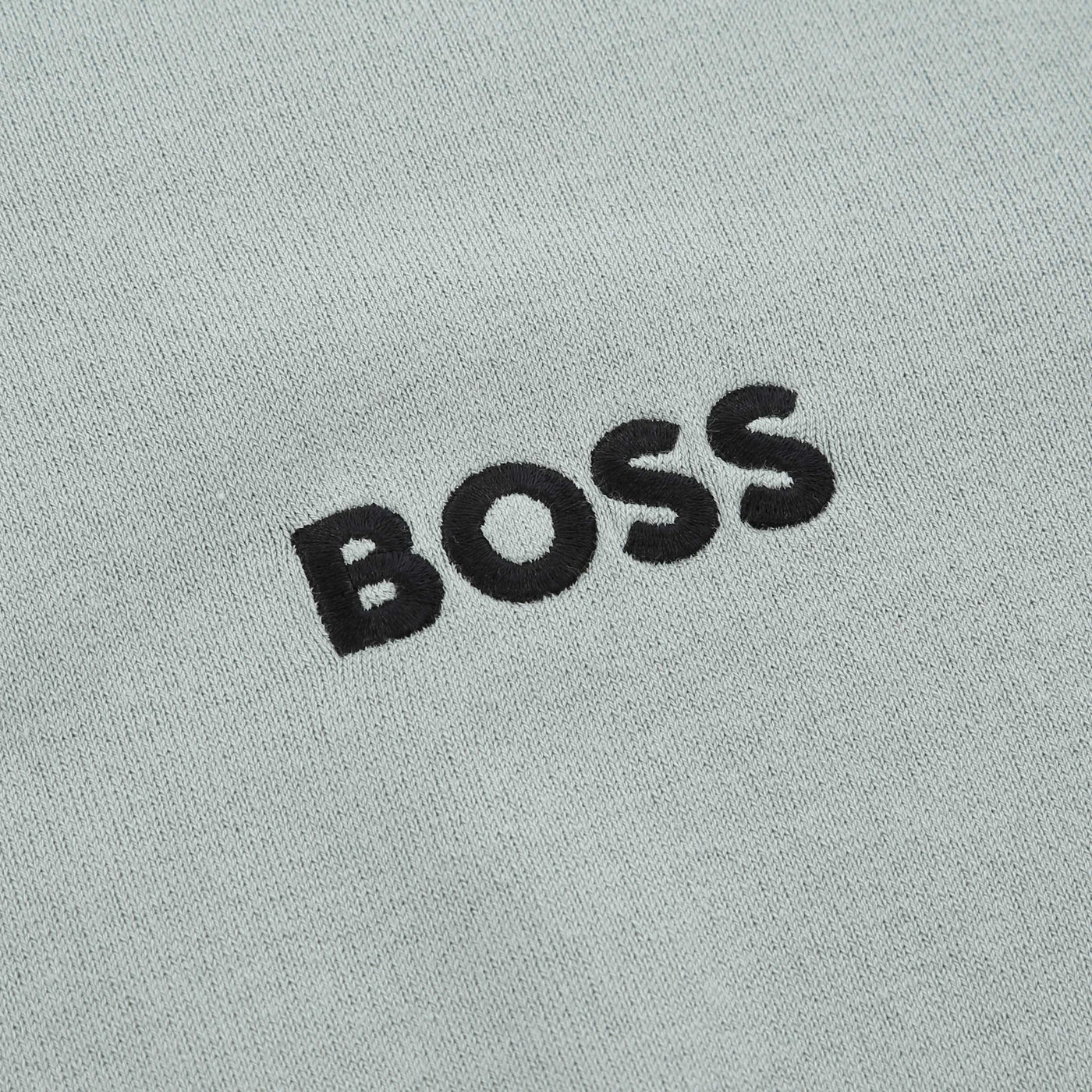 BOSS K_Hydro-X_1 Knitwear in Sage Logo