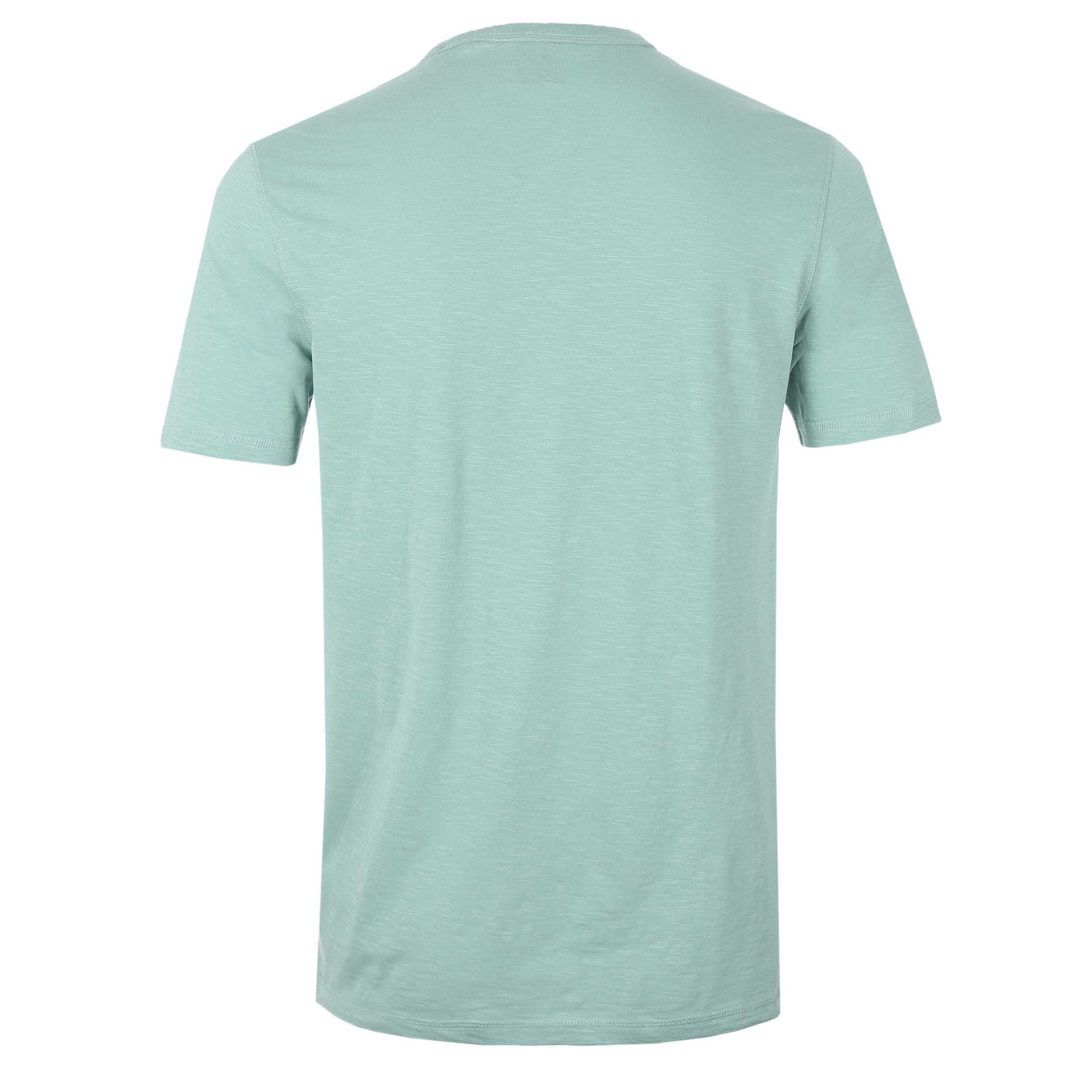 BOSS Tegood T-Shirt in Pastel Green Back