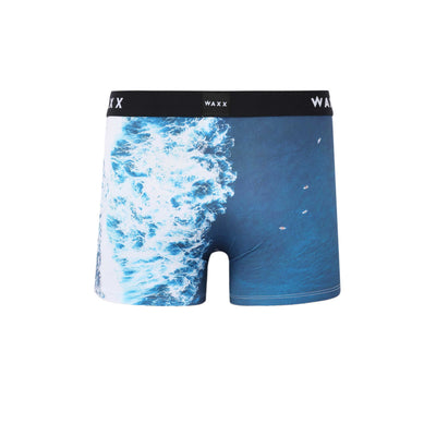 Waxx Waves Boxer Short in Aqua Back